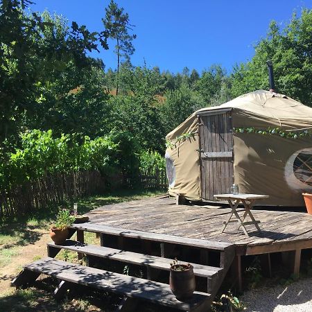 Star Gazing Luxury Yurt With River Views, Off Grid Eco Living Vale do Barco ภายนอก รูปภาพ