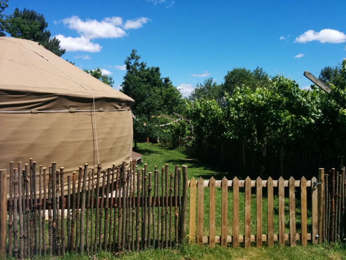 Star Gazing Luxury Yurt With River Views, Off Grid Eco Living Vale do Barco ภายนอก รูปภาพ